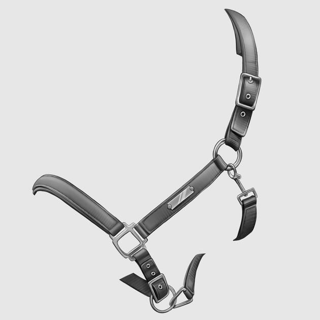 Greyscale halter A digital illustration of a greyscale halter