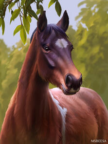 A digital illustration of a seal brown pottok pony standing under the tree in a daylight